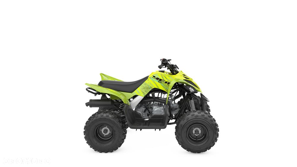 Yamaha Raptor - 4