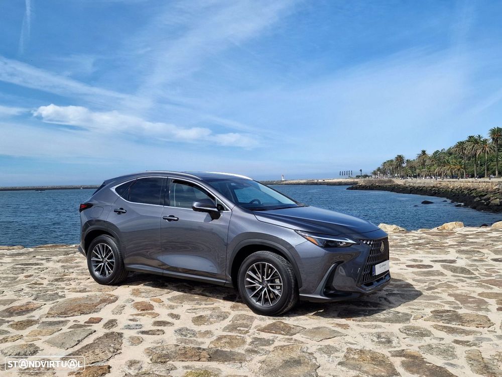 Lexus NX 450h+ - 10