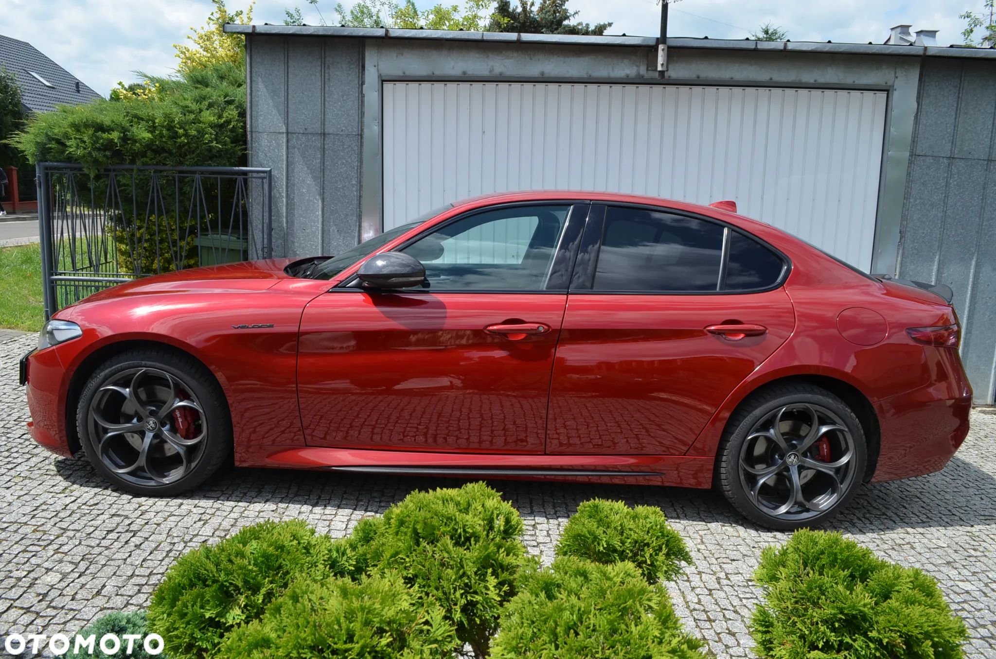 Alfa Romeo Giulia 2.0 Turbo Veloce TI Q4 - 1