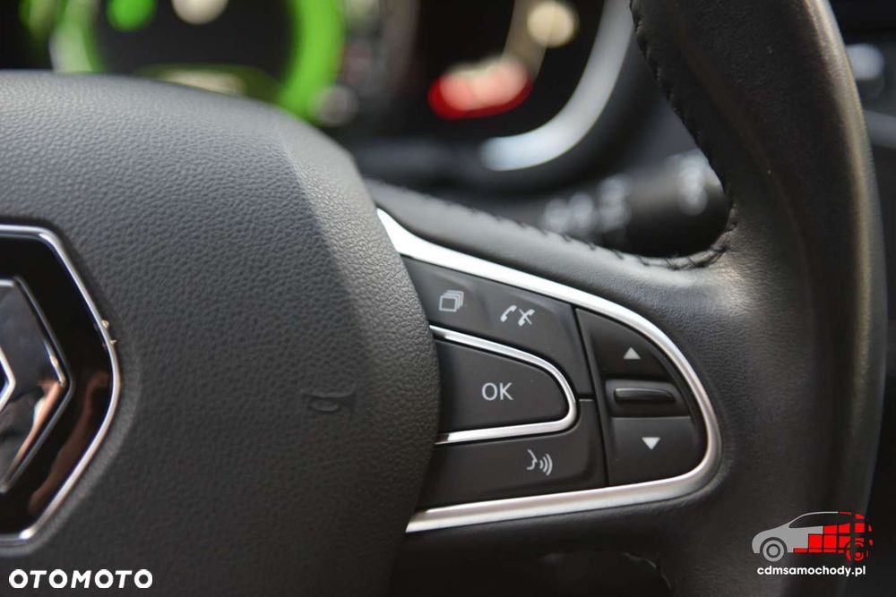 Renault Scenic - 34