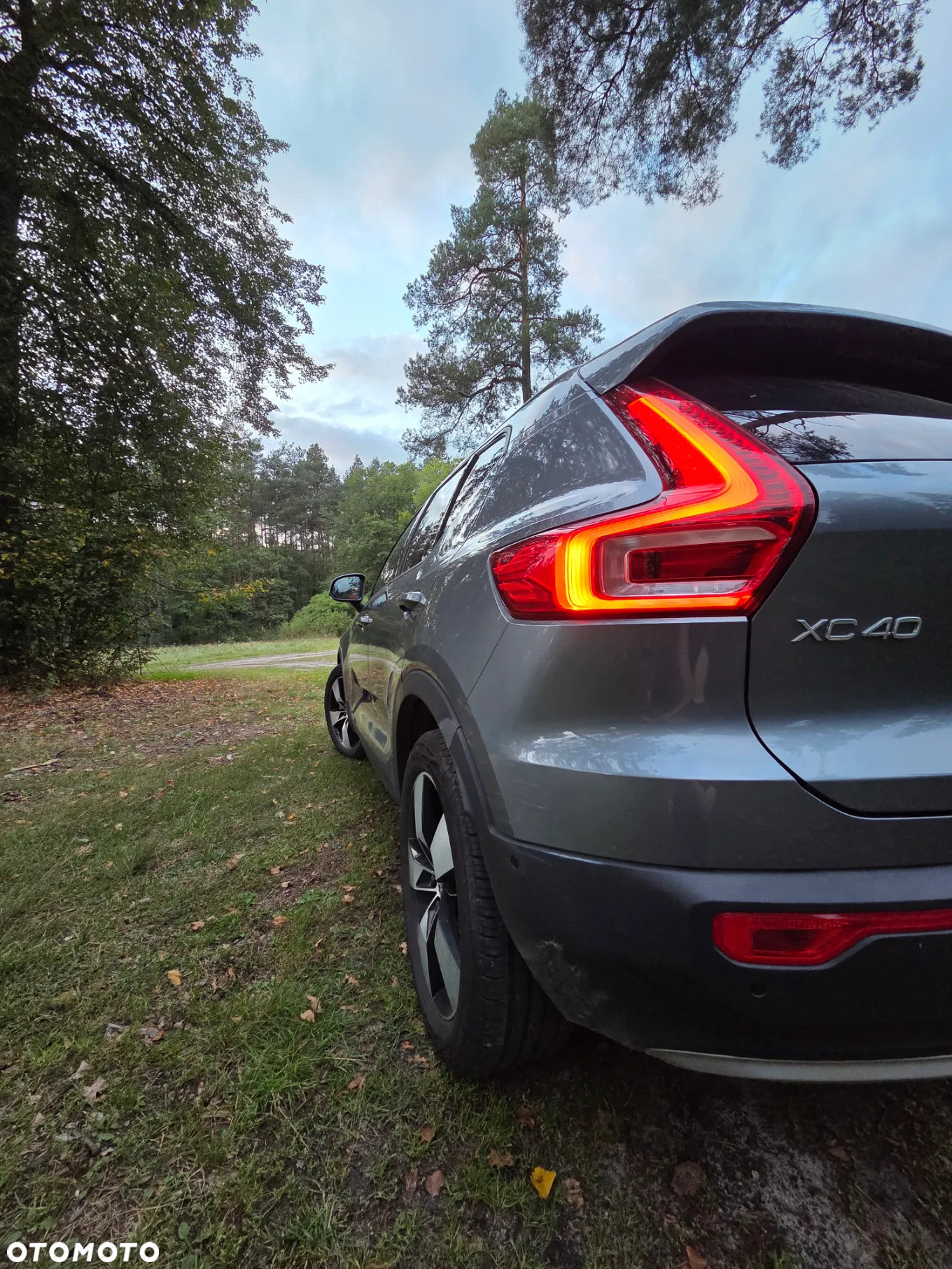 Volvo XC 40 T5 AWD Geartronic Momentum Pro - 8