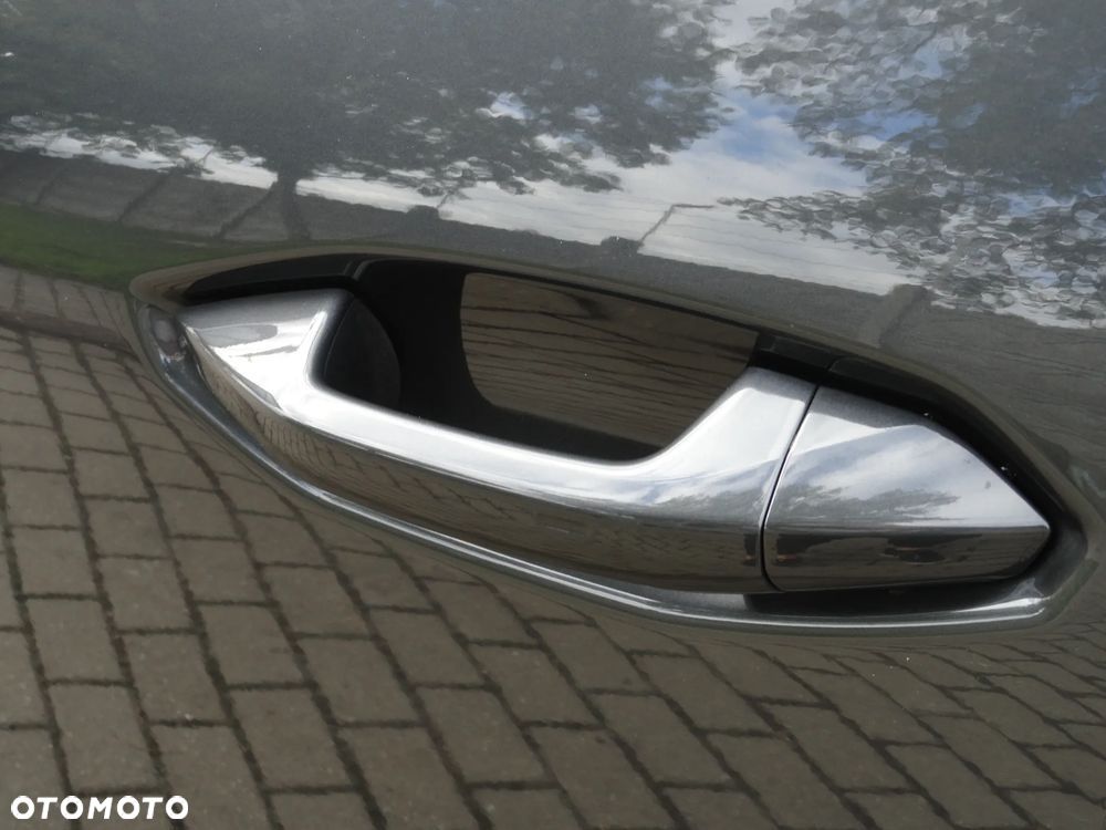 Cupra Terramar 2025
