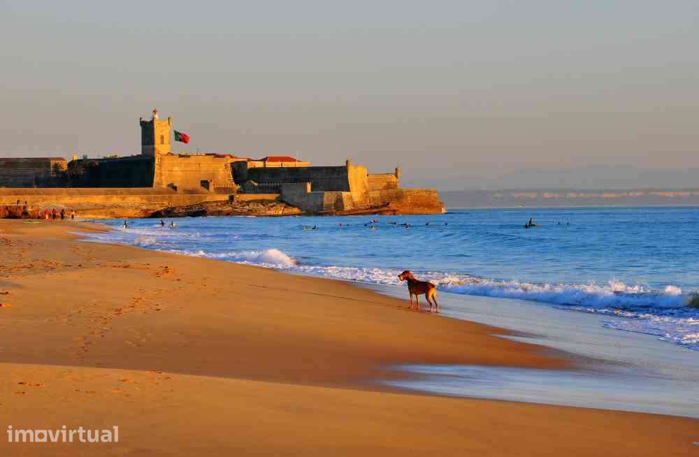 T2 Luminoso, Mobilado e Renovado | Nova SBE | 5 min Praia Carcavelos - Grande imagem: 2/15