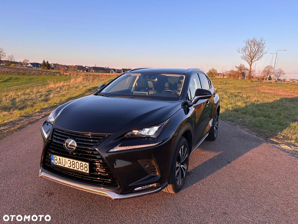 Lexus NX 300h F Impression AWD - 13