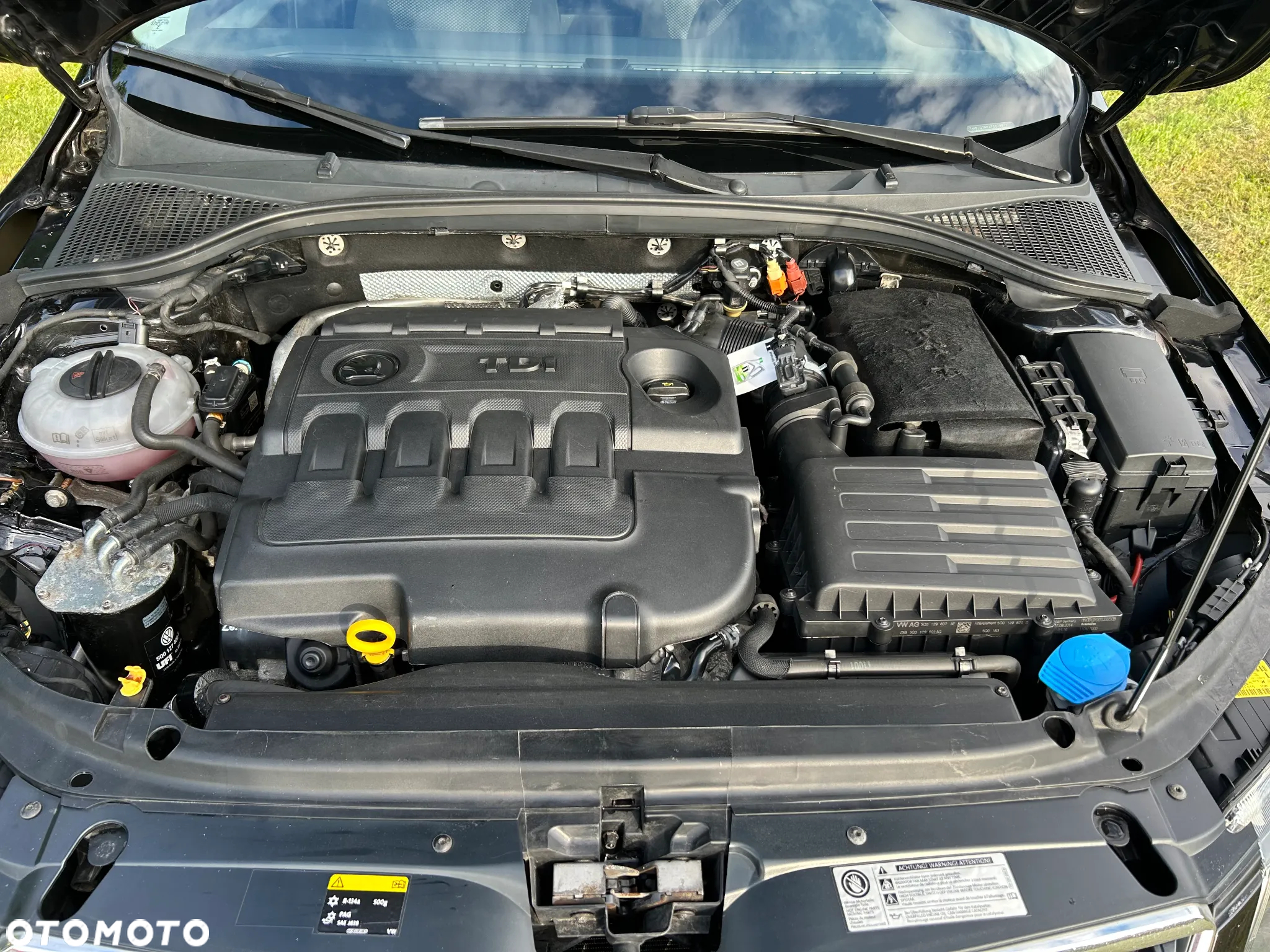 Skoda Octavia 1.6 TDI Ambition - 6