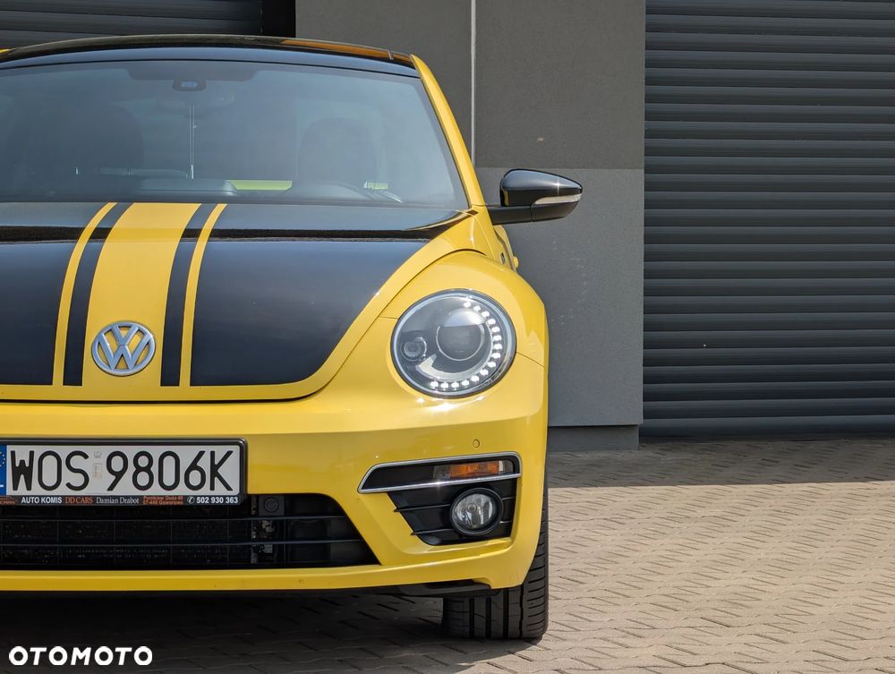Volkswagen Beetle - 6
