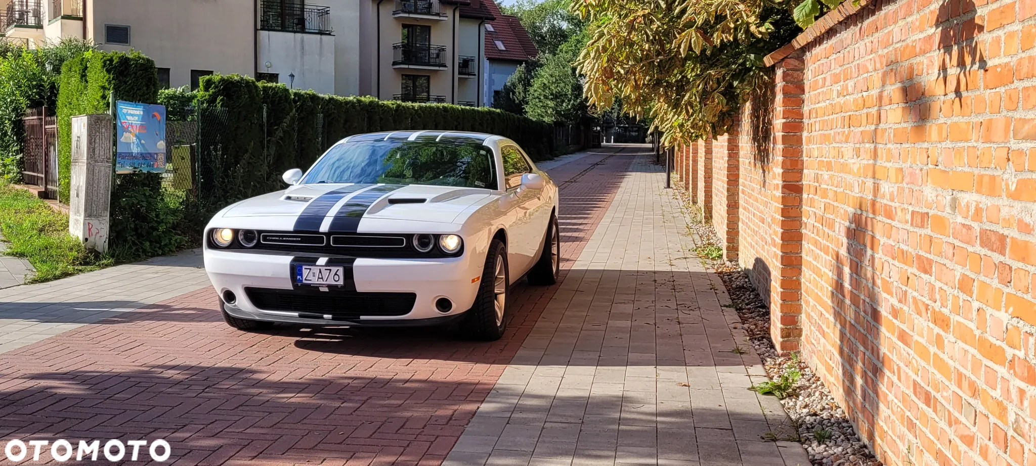 Dodge Challenger - 20