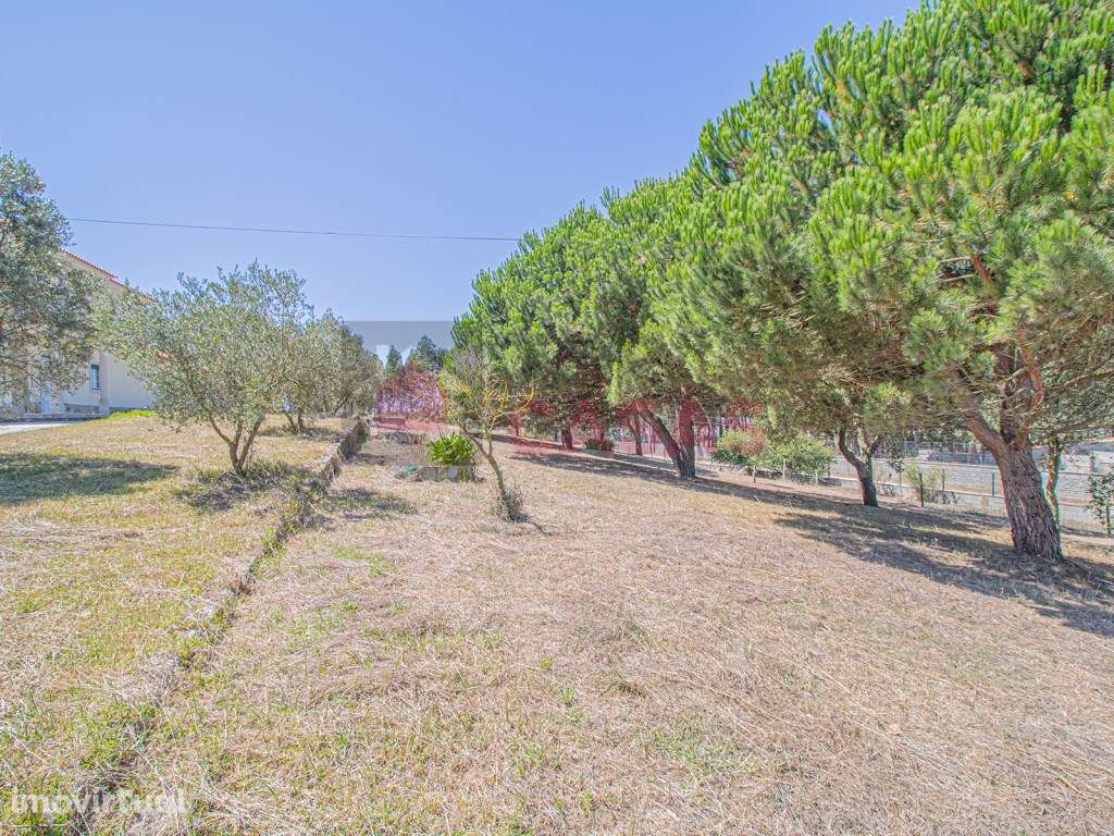 Linda propriedade perto de Caldas da Rainha - Grande imagem: 5/25