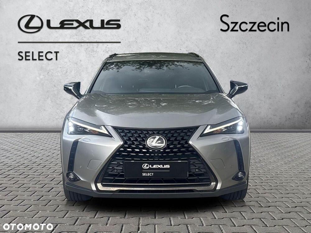 Lexus UX 200 GPF F Impression 2WD - 6
