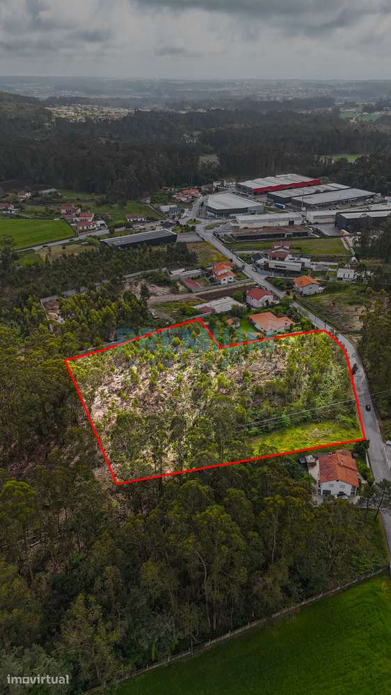 Terreno com 8.630 m² para Venda - Grande imagem: 2/12