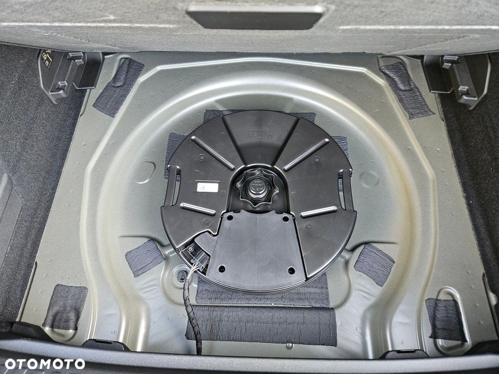 Cupra Terramar 2.0 TSI 4Drive DSG - 25