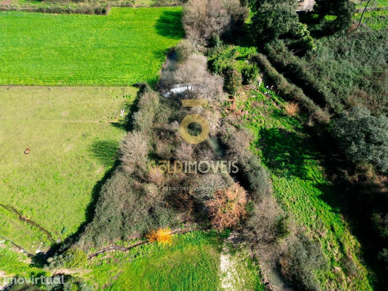 Terreno Rústico  Venda em Gandra,Paredes - Grande imagem: 2/3