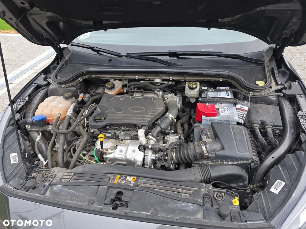 Ford Focus - 1