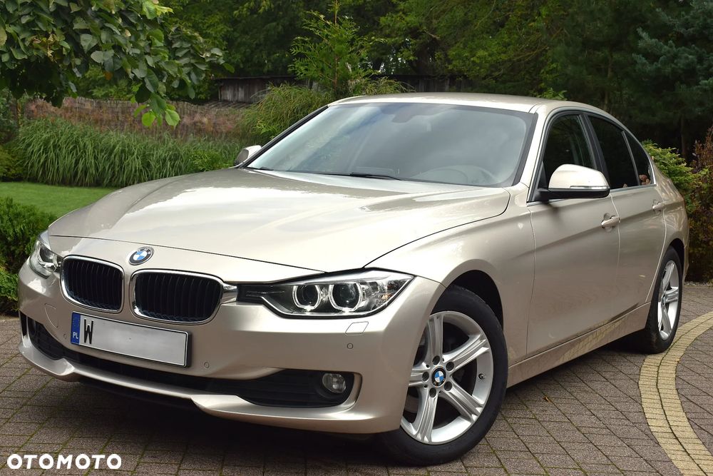 BMW Seria 3 318d Blue Performance Luxury Line - 12