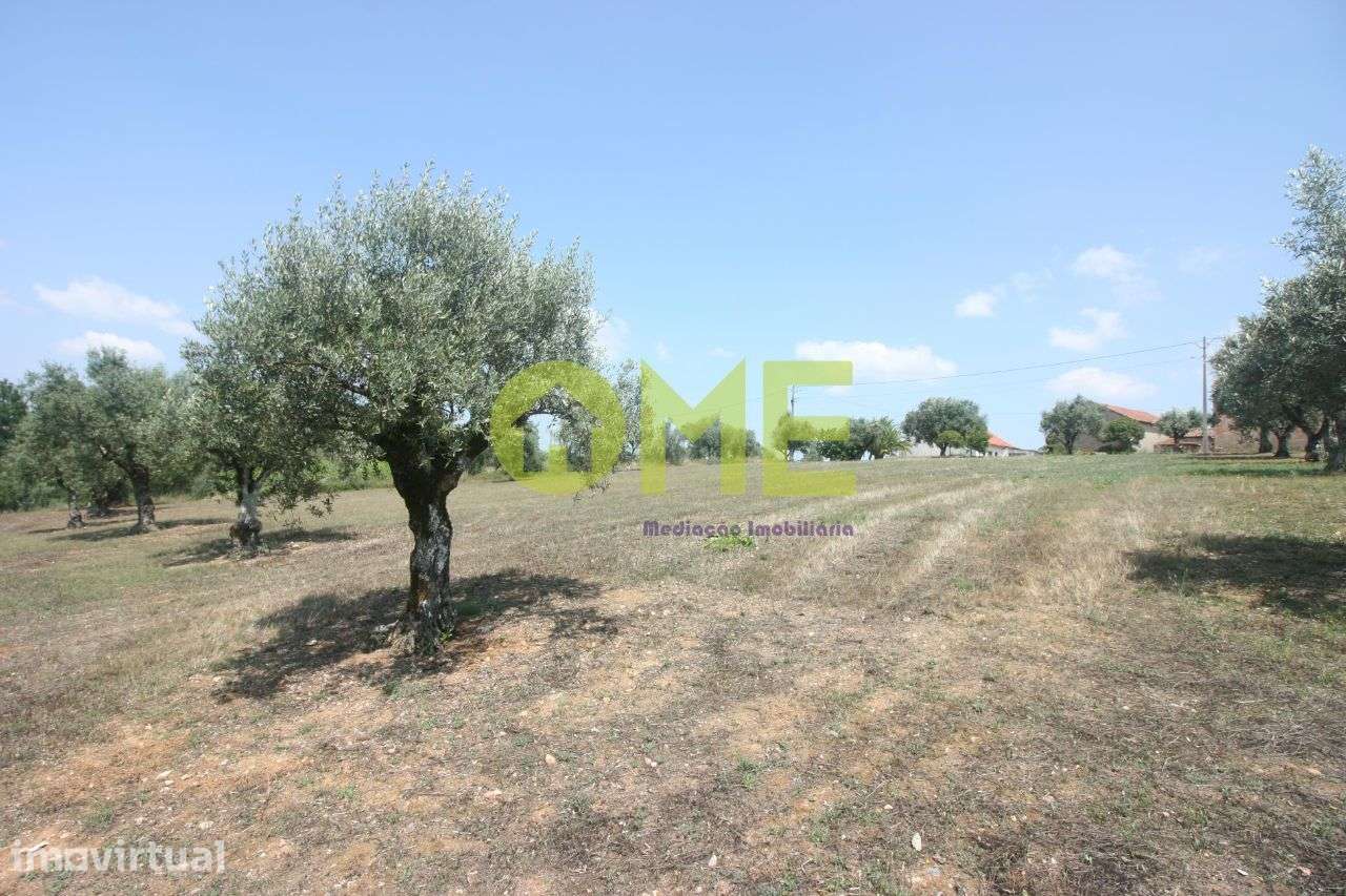 Terreno para construção - Atouguia - Grande imagem: 4/5
