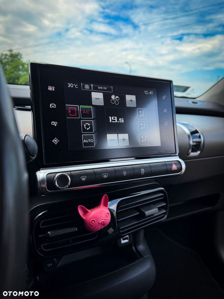 Citroën C4 Cactus 1.2 PureTech Shine EU6 - 11