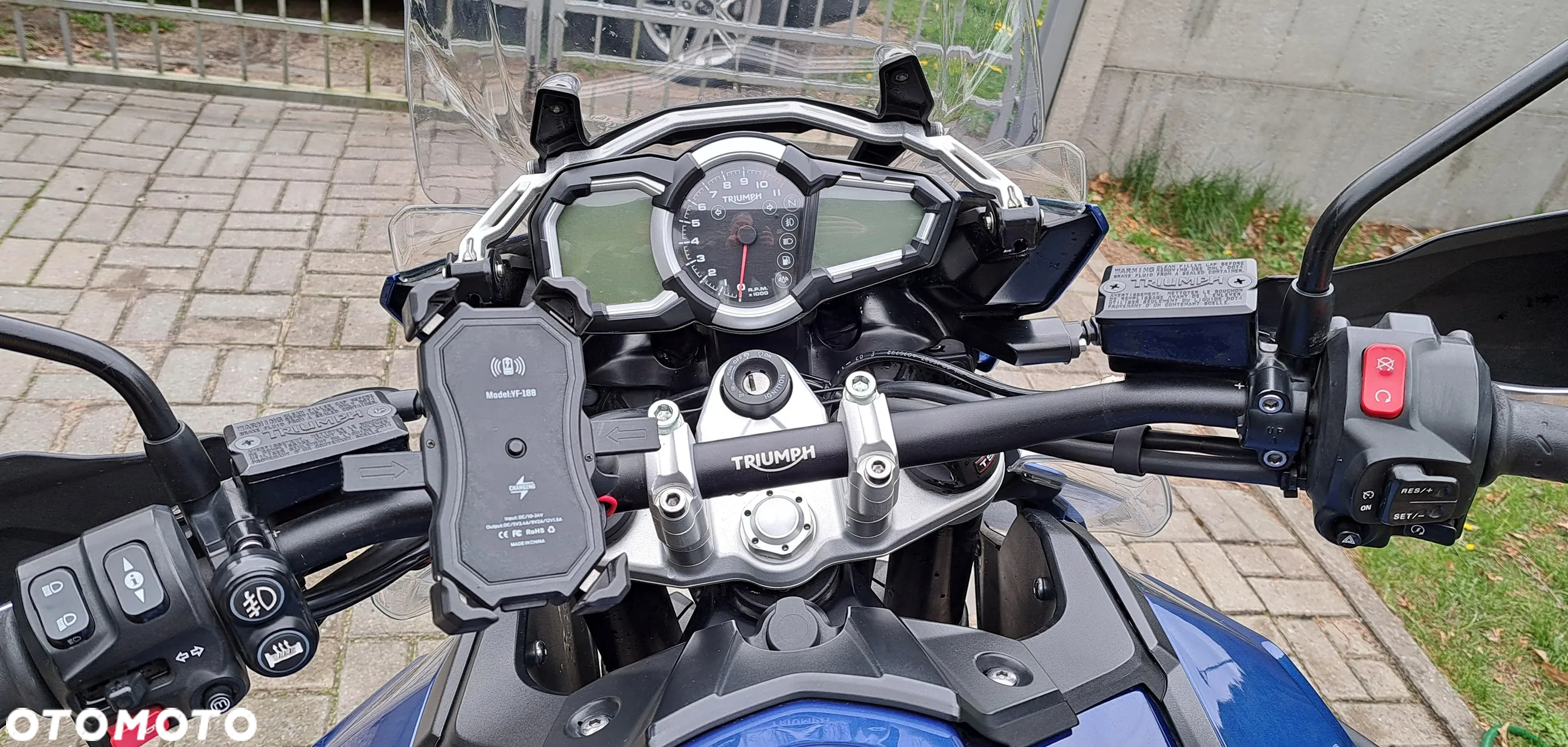 Triumph Tiger - 13
