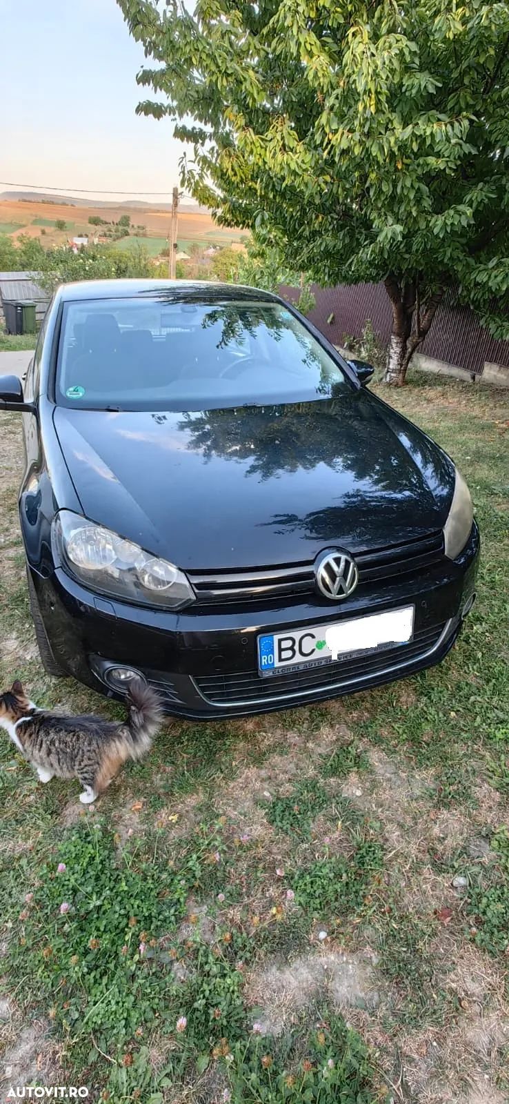 Volkswagen Golf - 1