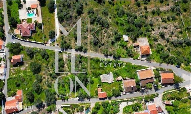 Oportunidade única de investimento! - Grande imagem: 3/4