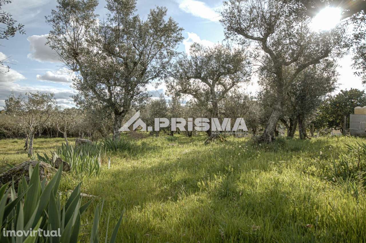 Terreno para venda em Póvoa de Rio de Moinhos - Grande imagem: 4/25