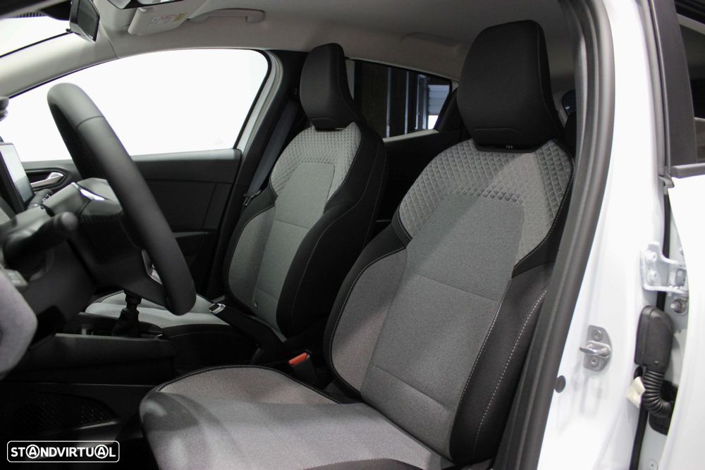 Renault Clio - 29