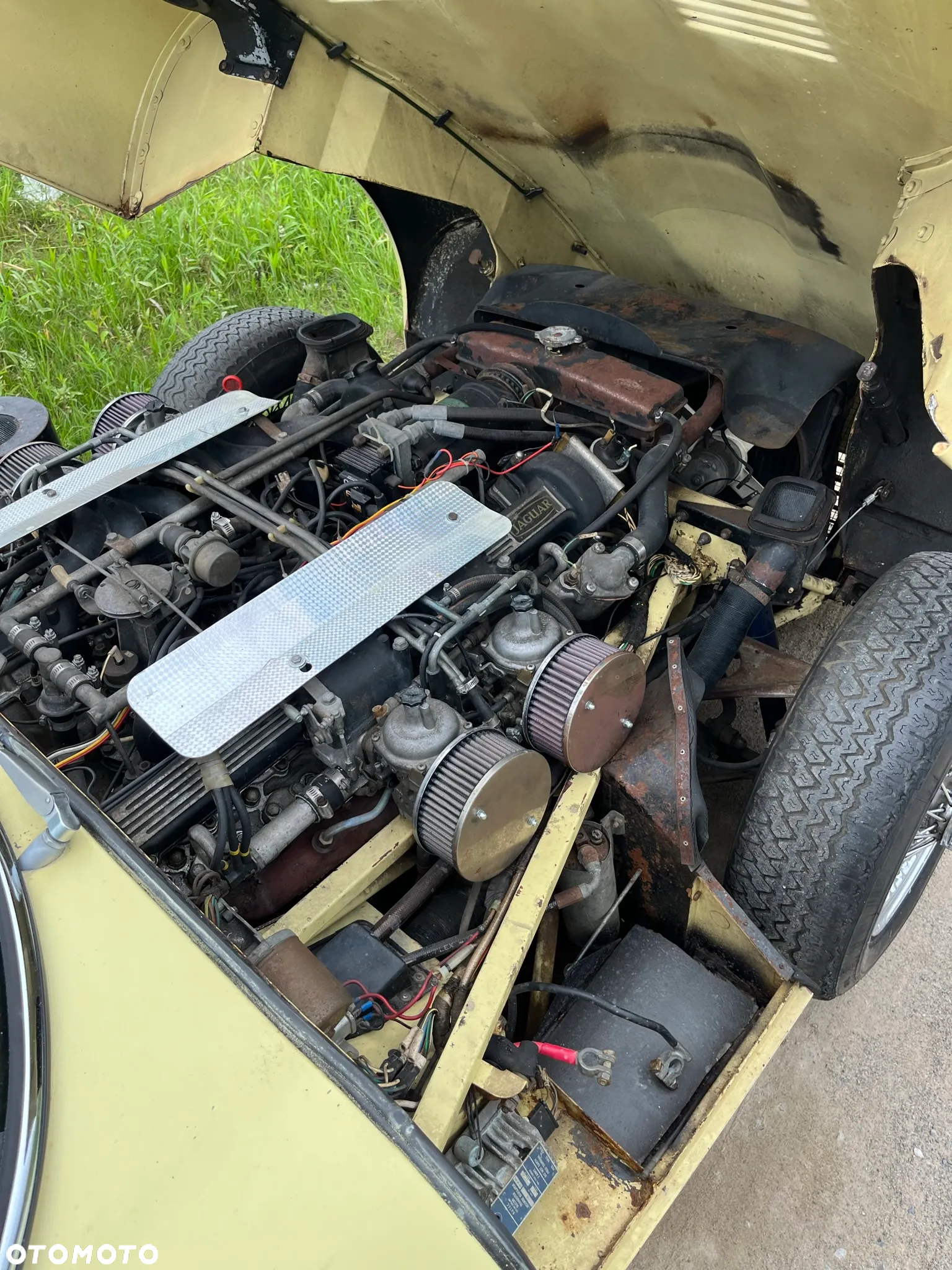 Jaguar E-Type - 27