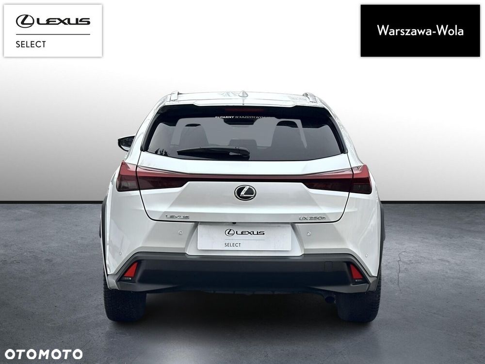 Lexus UX 250h GPF Business 2WD - 6