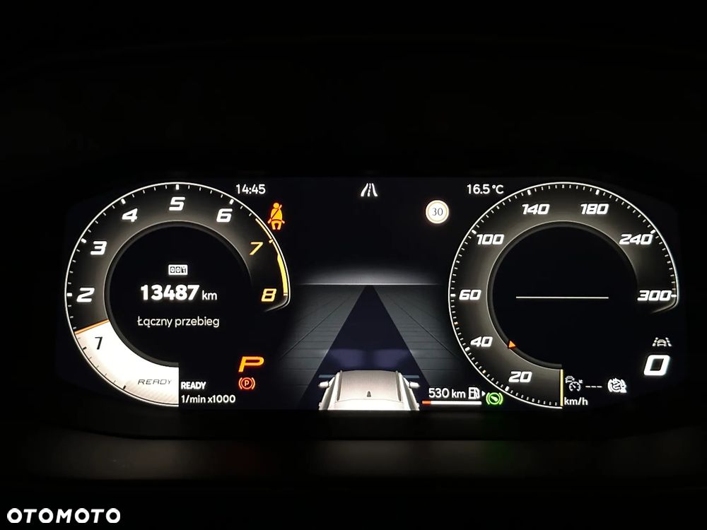 Cupra Formentor 1.5 TSI DSG - 19