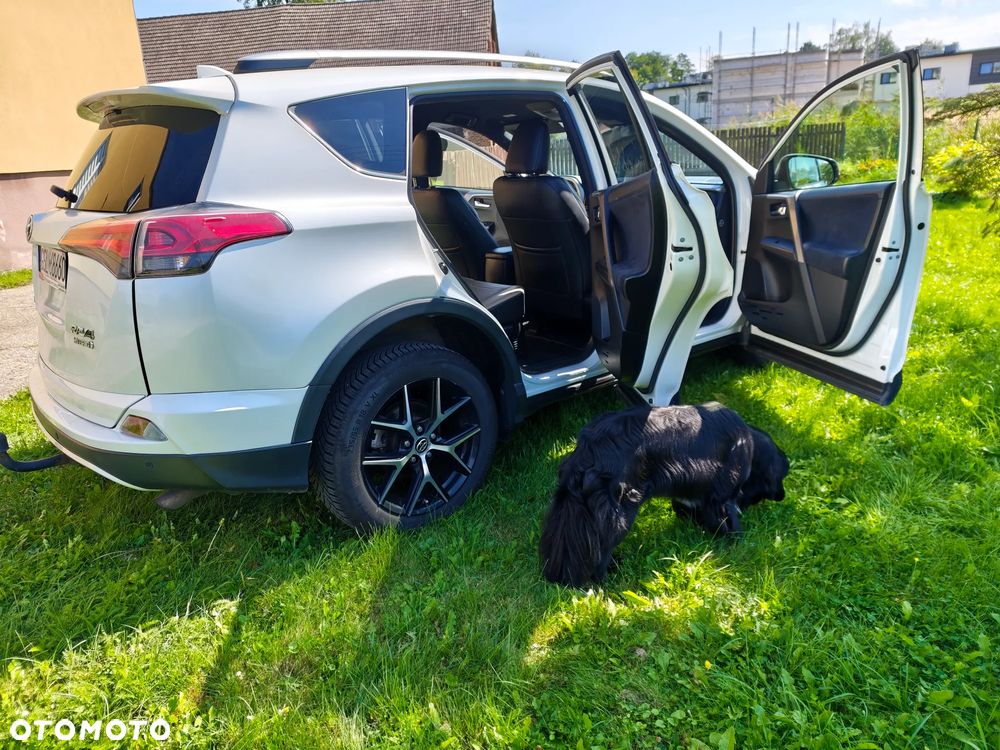 Toyota RAV4 Hybrid Prestige 4x2 - 19