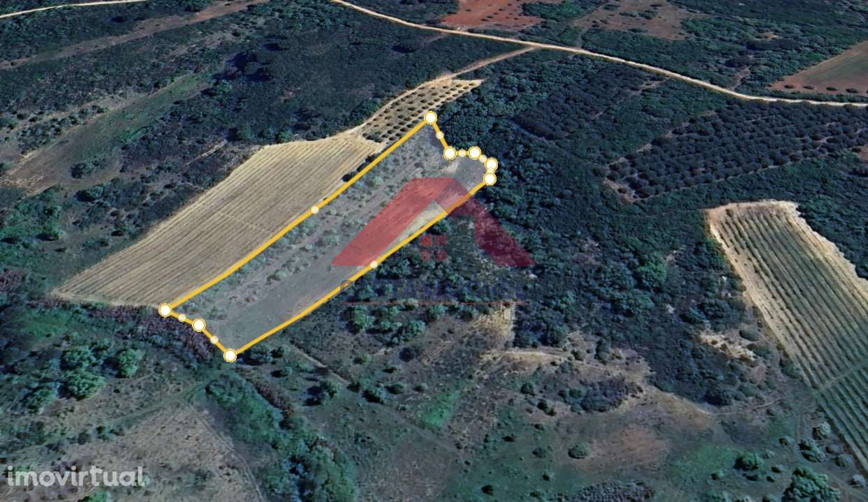 Terreno Rústico  Venda em Manique do Intendente, Vila Nova de São Pedr - Grande imagem: 2/4