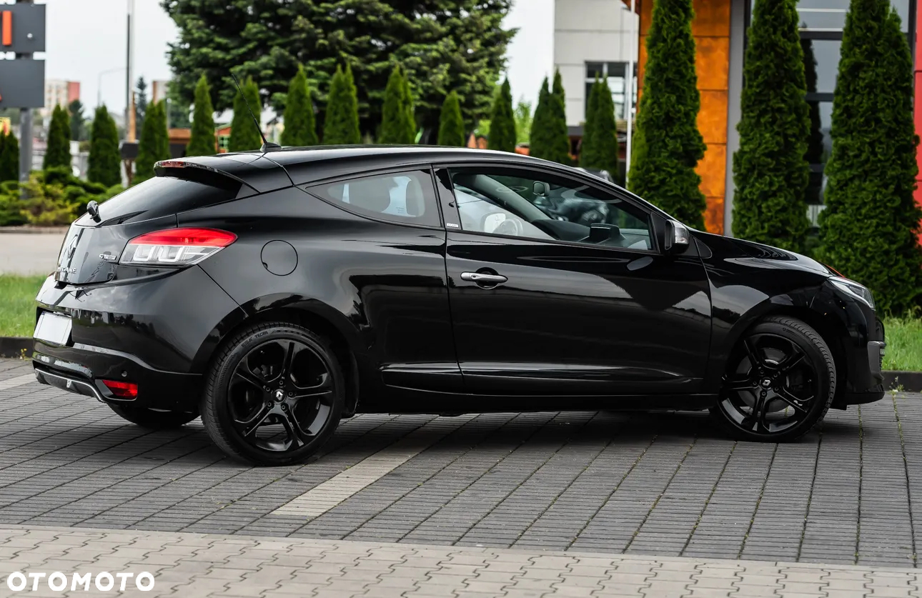 Renault Megane 220 GT - 14