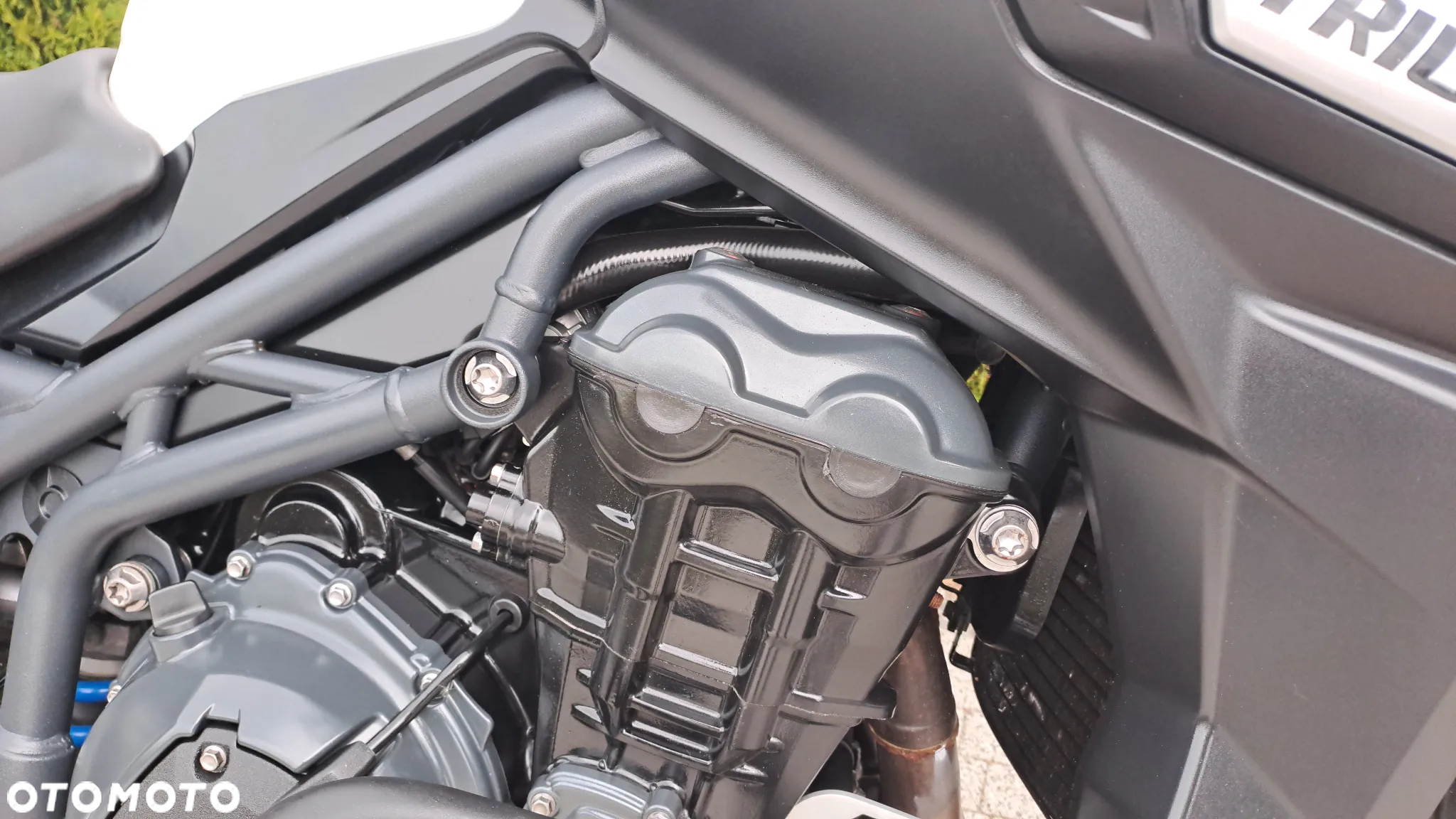 Triumph Tiger - 13