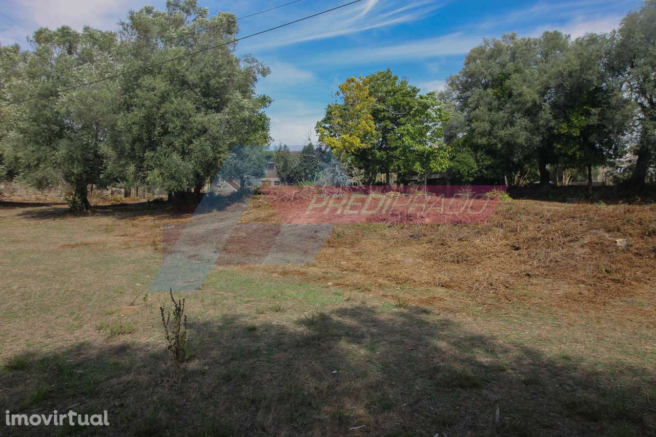 Fantástico Terreno para Construção em Cervães! - Grande imagem: 4/18