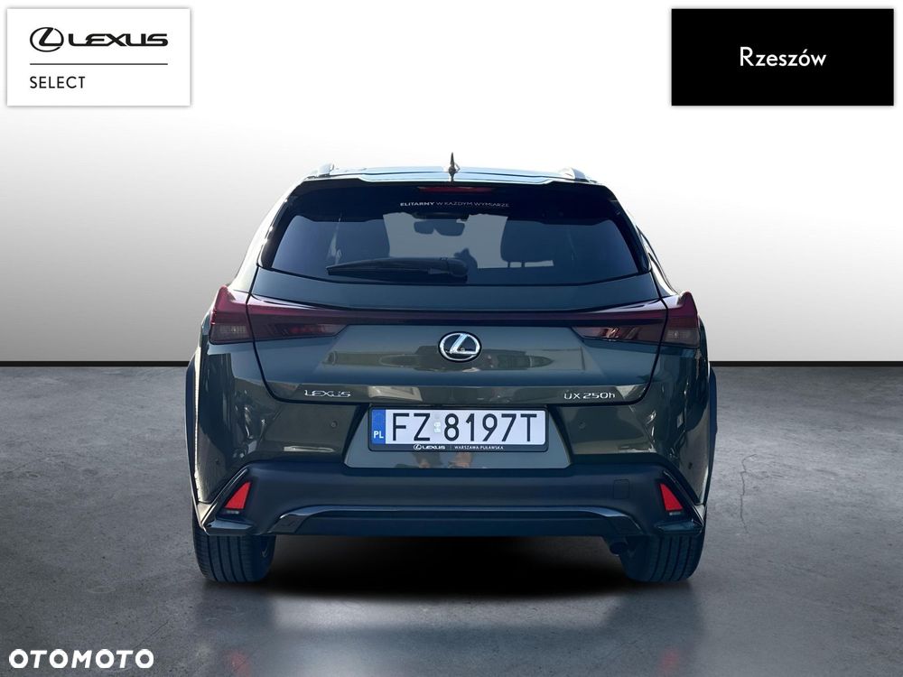 Lexus UX 250h GPF F Sport Design 2WD - 4
