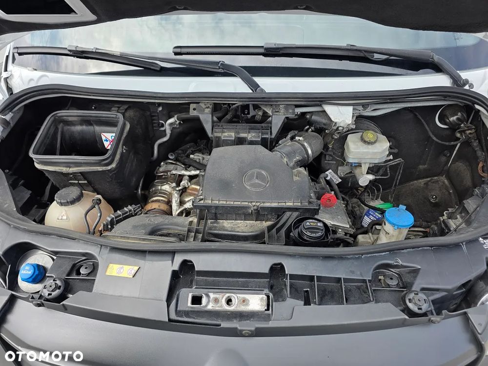 Mercedes-Benz Sprinter chłodnia mroźnia  519 bliźniak Thermo king 8 palet - 22