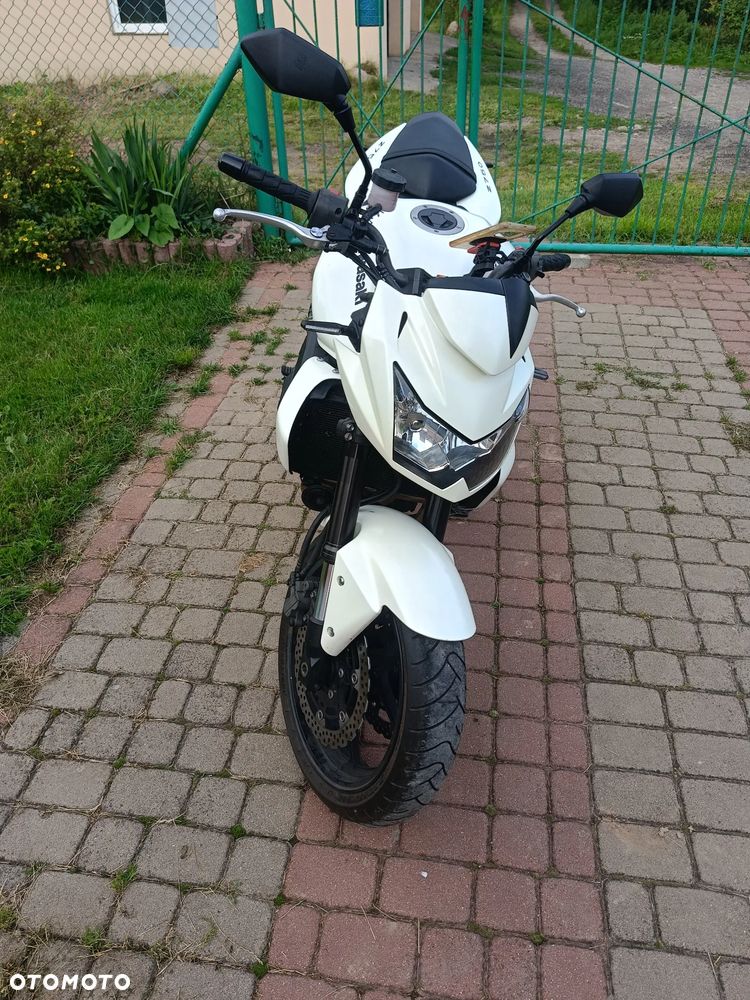 Kawasaki Z - 6