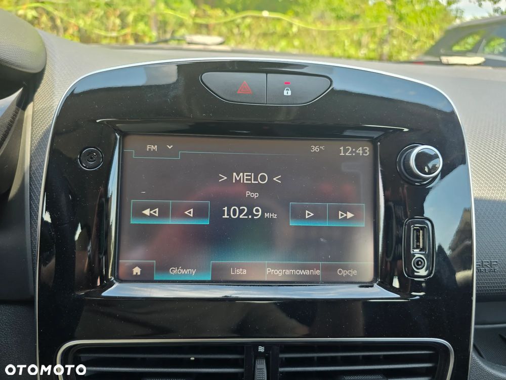 Renault Clio - 38