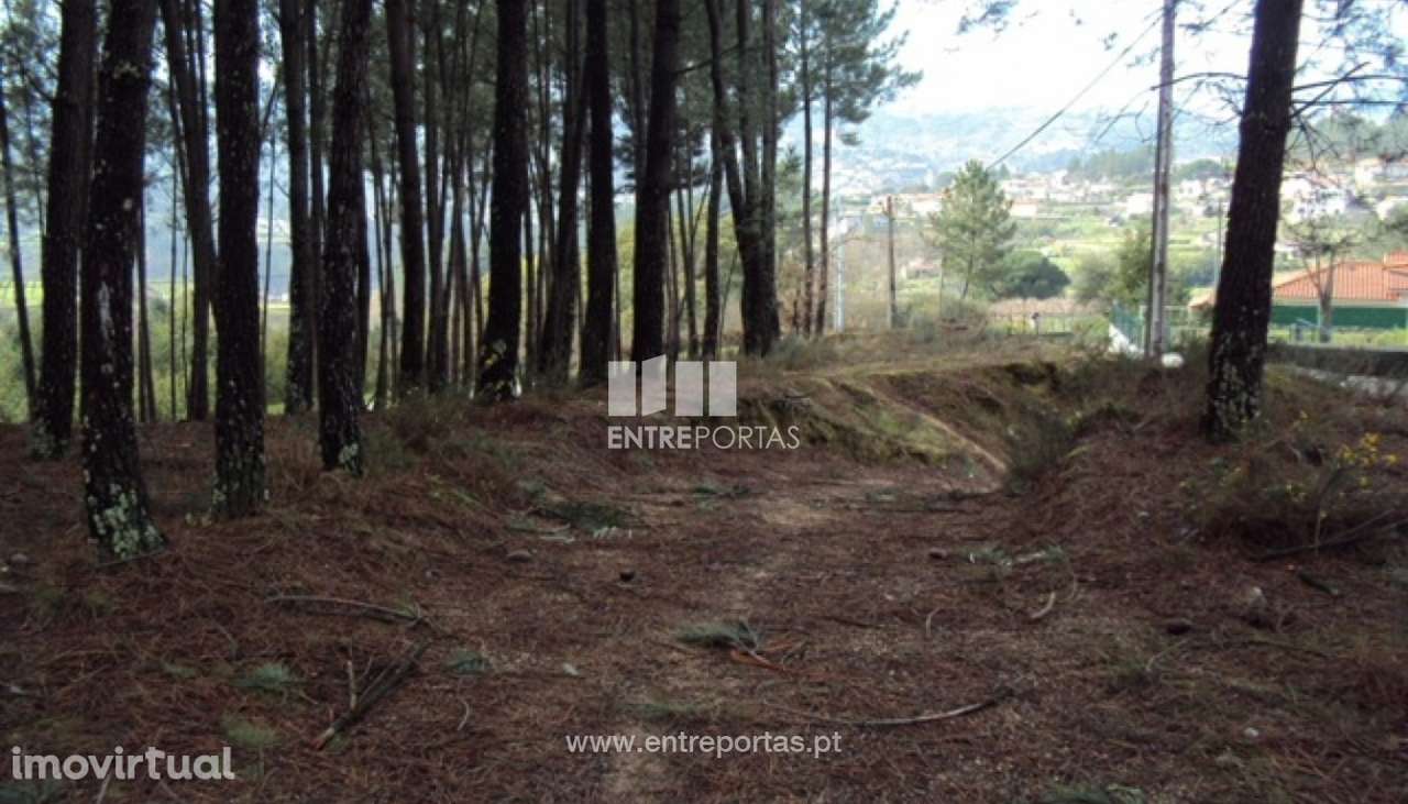 Venda Terreno, junto à estrada, Tabuado, Marco de Canaveses - Grande imagem: 4/9