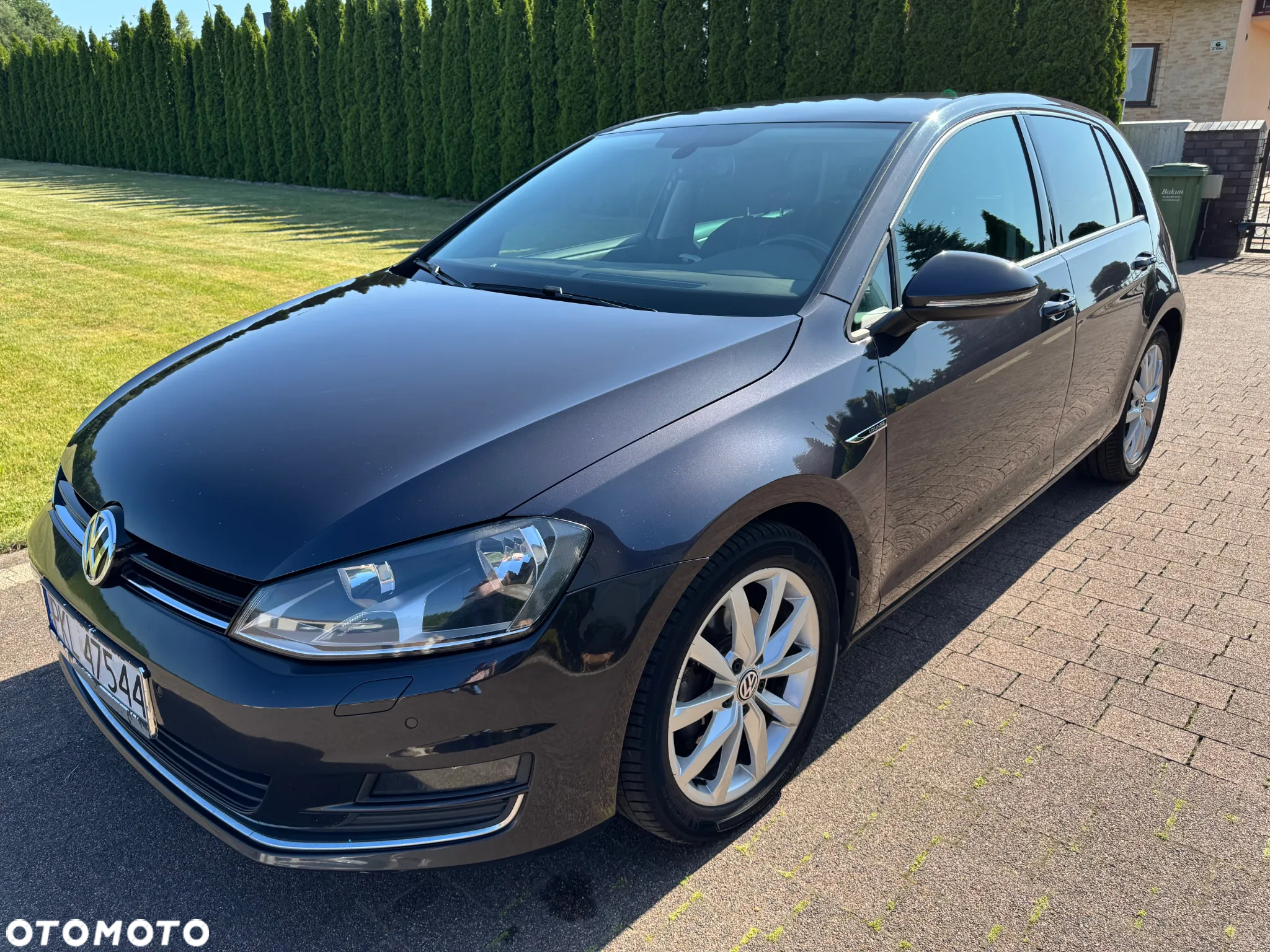 Volkswagen Golf - 2