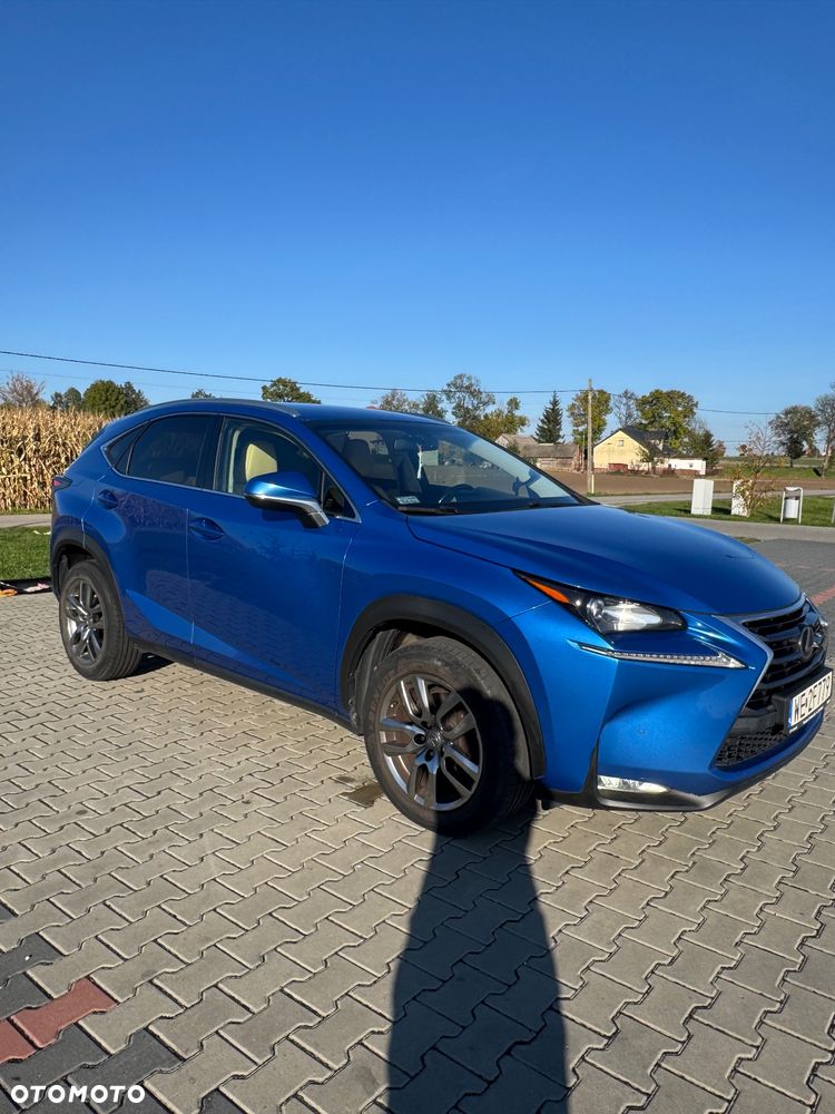 Lexus Nx 2017 photo 4