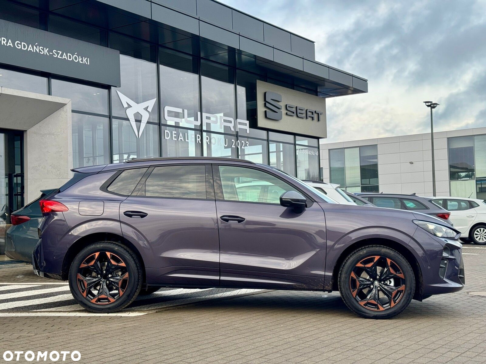 Cupra Terramar 1.5 eTSI mHEV DSG - 6