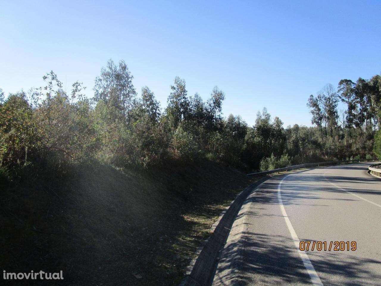 Terreno com 10.000 m2, em Nogueira da Regedoura para moradia isolada - Grande imagem: 3/3