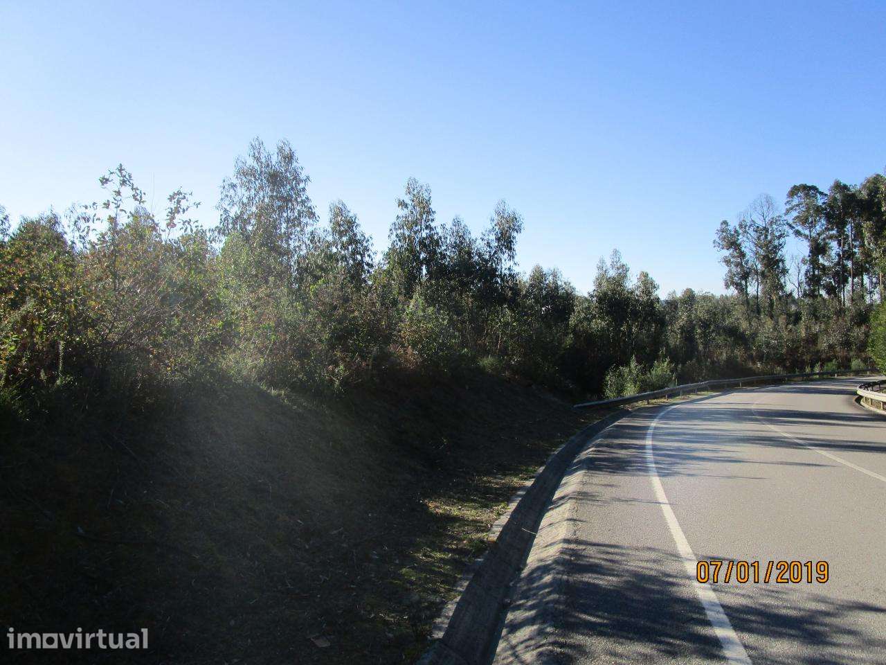 Terreno com 10.000 m2, em Nogueira da Regedoura para moradia isolada - Grande imagem: 3/3
