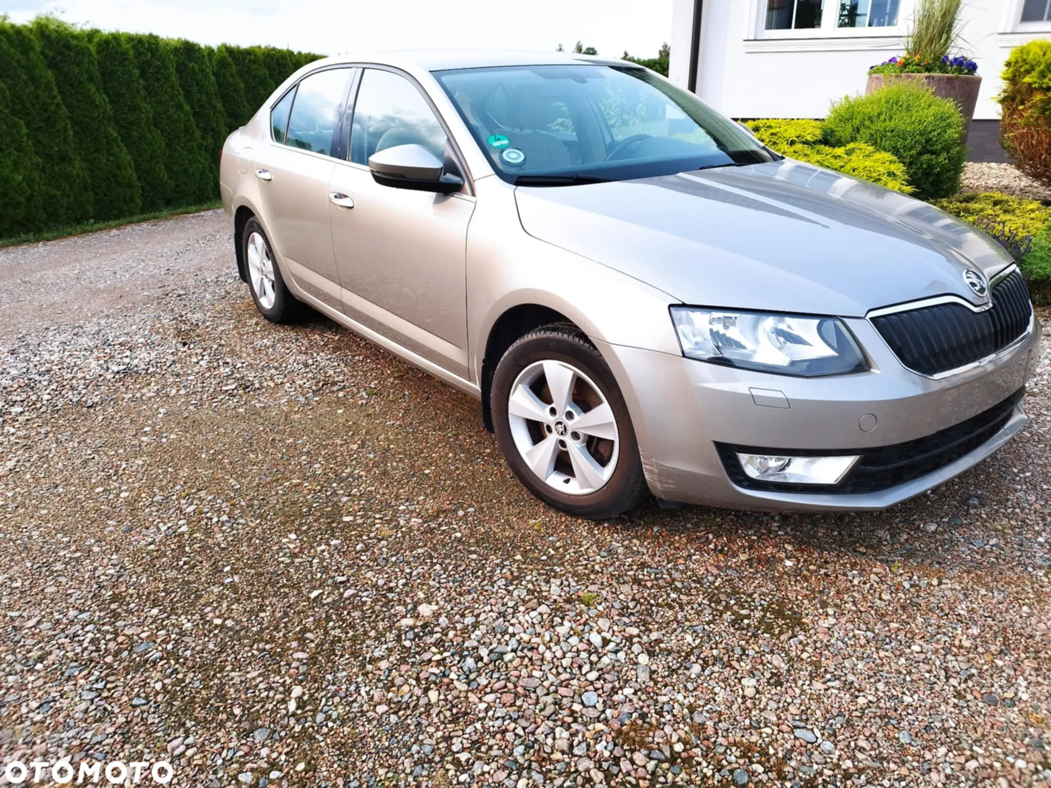 Skoda Octavia 1.8 TSI DSG Ambition - 3