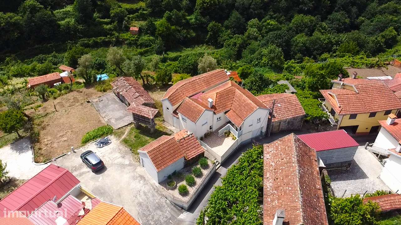 Quinta c/ moradia – Oliveira de Frades - Grande imagem: 3/51