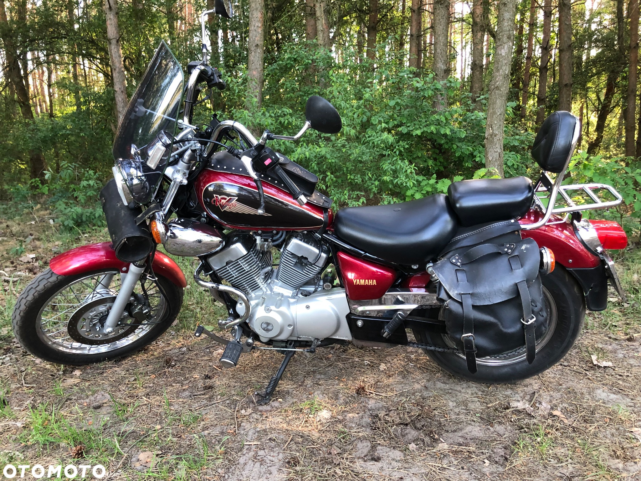 Yamaha Virago - 4