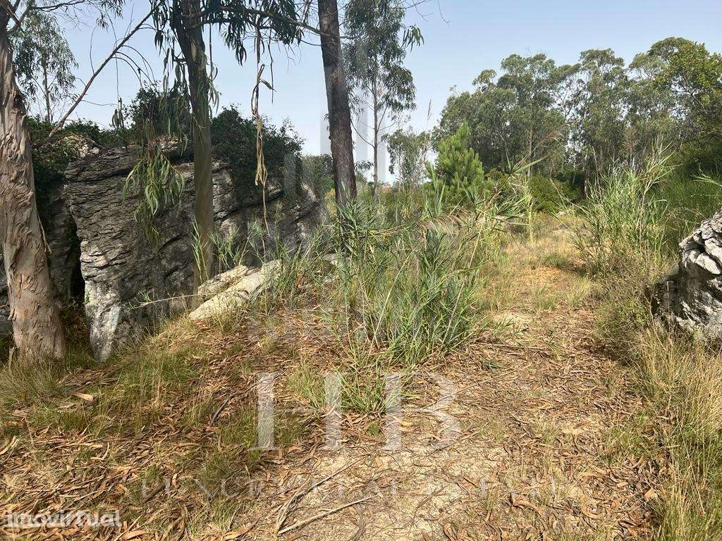 Terreno | Reguengo Grande | Lourinhã - Grande imagem: 3/17