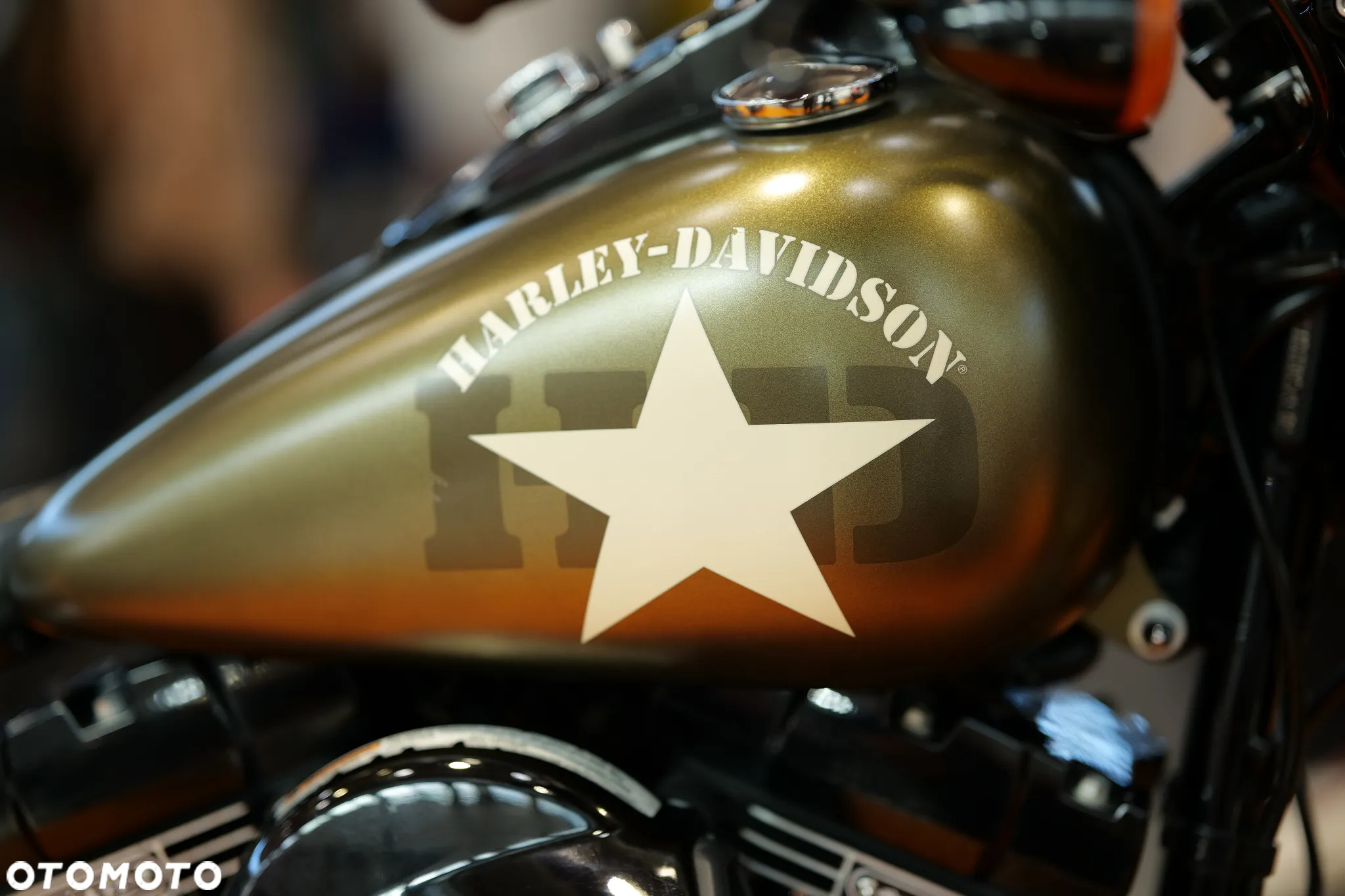 Harley-Davidson Softail Slim - 12