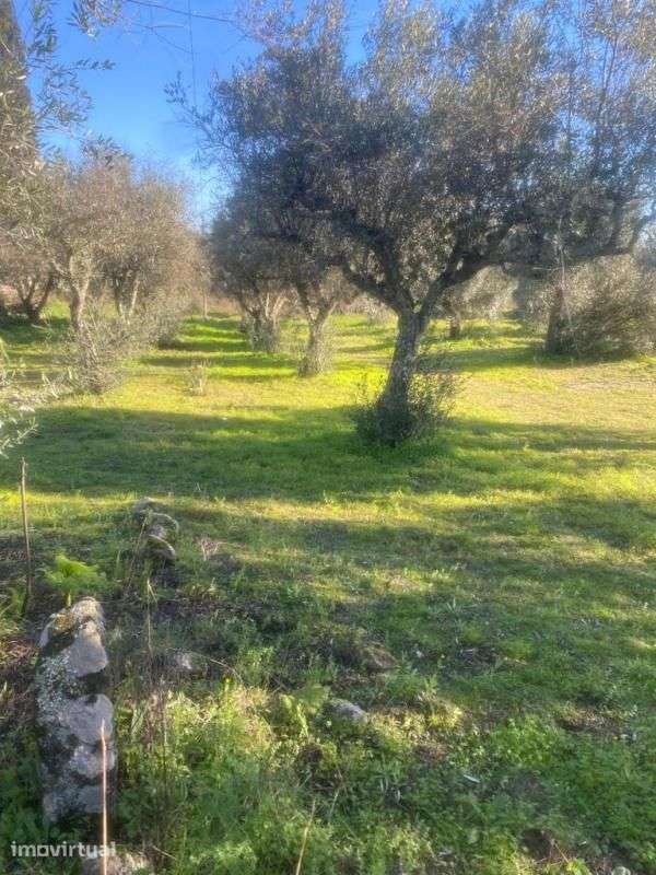 Terreno - Grande imagem: 2/6