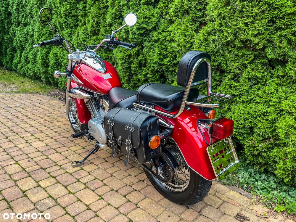 Suzuki Intruder - 6